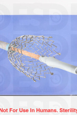 CORDIS: C08150MB - EACH