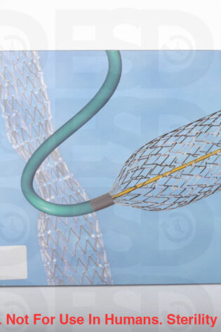CORDIS: PC1020RXC - EACH