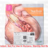 BARD: TF0203511 - EACH