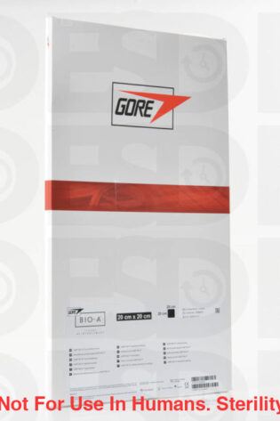 GORE: FS2020 - EACH